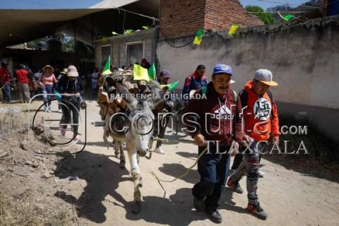 Con burros cargados de leña veneran a San José en la Trinidad Tenexyecac imagen 3