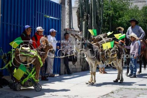 Con burros cargados de leña veneran a San José en la Trinidad Tenexyecac imagen 14