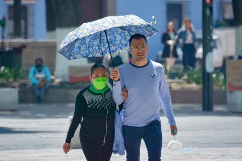 Día del Hombre: Celebrando la Paternidad y la Igualdad de Género imagen 2