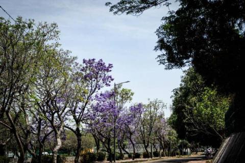 26 de marzo, Día Mundial del Clima imagen 6