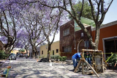 Realiza CAPAM acciones de desazolve en calles de la capital imagen 6