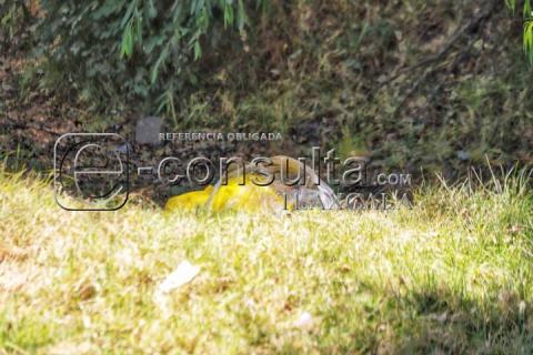 Embolsado localizan cuerpo en Santiago Michac Nativitas imagen 5