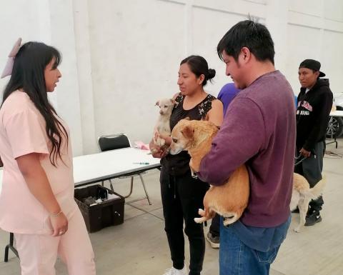 Un éxito campaña de bienestar en tu municipio Xicohtzinco imagen 2