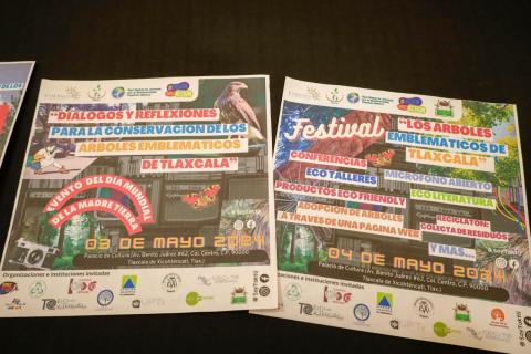 Anuncian primer festival “Árboles emblemáticos de Tlaxcala” imagen 3