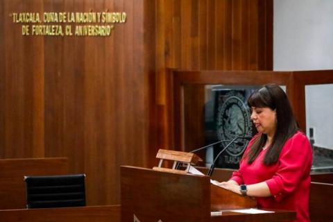 Solicita licencia al cargo la diputada Guillermina Loaiza Cortero imagen 9