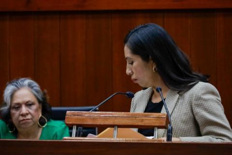 La diputada suplente Olivia Guzmán alza la voz en contra de los acontecimientos sucedidos en Zacatelco imagen 1