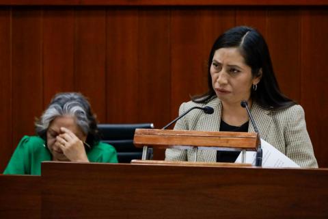La diputada suplente Olivia Guzmán alza la voz en contra de los acontecimientos sucedidos en Zacatelco imagen 2