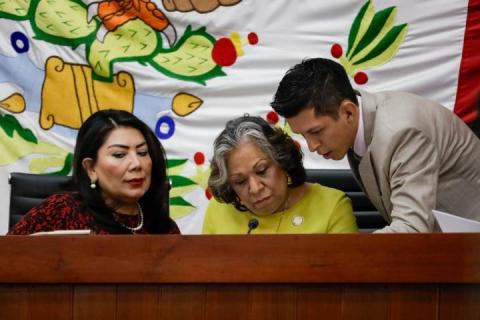 Diputados declaran extinción del Instituto Tlaxcalteca para Personas con Discapacidad imagen 4