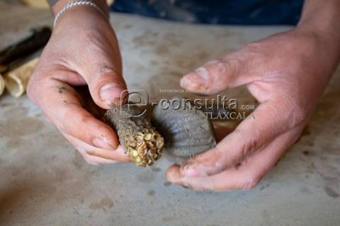 La lucha por preservar la artesanía ancestral de los patos de Atlahapa imagen 5