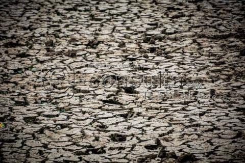 Sequía y Calor Impactan Nivel de Agua en Laguna de Acuitlapilco imagen 1