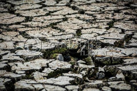 Sequía y Calor Impactan Nivel de Agua en Laguna de Acuitlapilco imagen 3