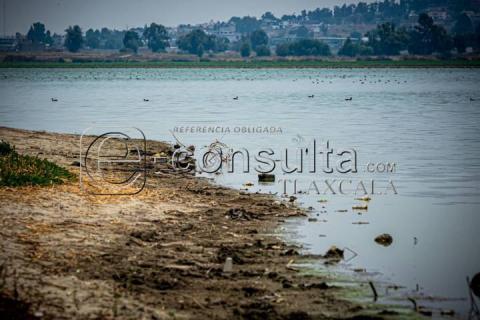 Sequía y Calor Impactan Nivel de Agua en Laguna de Acuitlapilco imagen 11