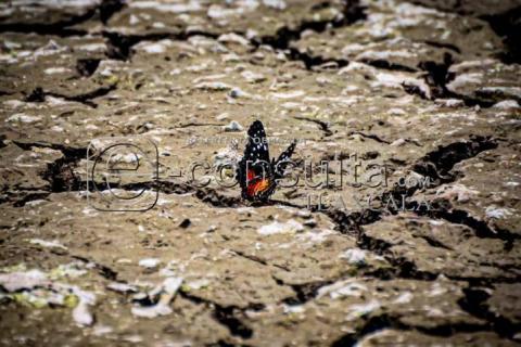 Sequía y Calor Impactan Nivel de Agua en Laguna de Acuitlapilco imagen 13