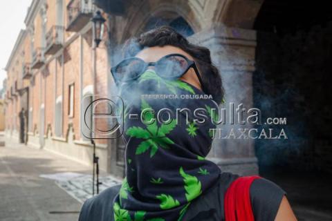 Realizan manifestación pacifica en la Plaza de la Constitución por la legalización de la Mari-hua-na imagen 2