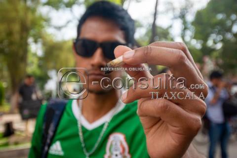 Realizan manifestación pacifica en la Plaza de la Constitución por la legalización de la Mari-hua-na imagen 3