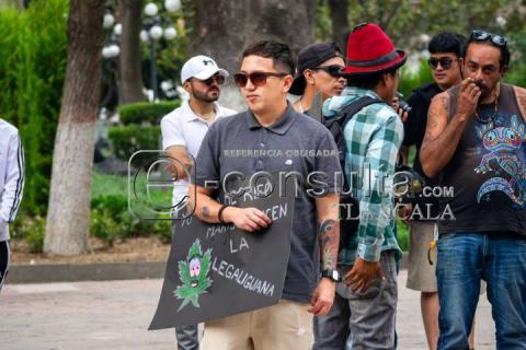 Realizan manifestación pacifica en la Plaza de la Constitución por la legalización de la Mari-hua-na imagen 4