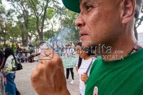 Realizan manifestación pacifica en la Plaza de la Constitución por la legalización de la Mari-hua-na imagen 6