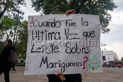 Realizan manifestación pacifica en la Plaza de la Constitución por la legalización de la Mari-hua-na imagen 1