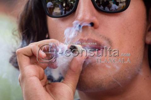 Realizan manifestación pacifica en la Plaza de la Constitución por la legalización de la Mari-hua-na imagen 8