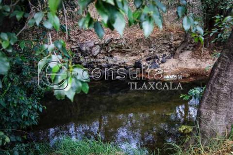 Río “Tlaxca” de los últimos canales de agua limpia en el estado imagen 4