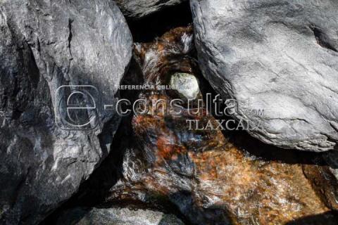 Río “Tlaxca” de los últimos canales de agua limpia en el estado imagen 7