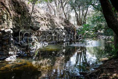 Río “Tlaxca” de los últimos canales de agua limpia en el estado imagen 1