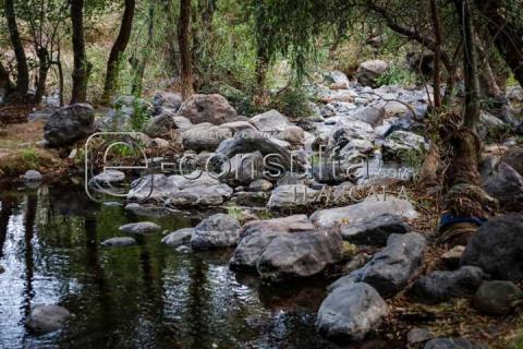 Río “Tlaxca” de los últimos canales de agua limpia en el estado imagen 2