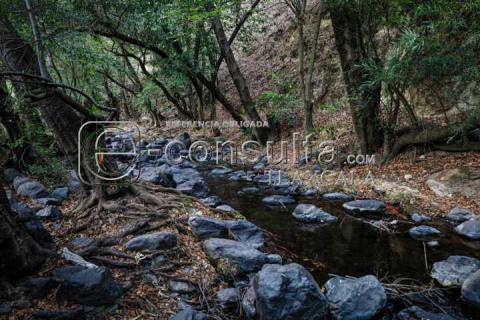 Río “Tlaxca” de los últimos canales de agua limpia en el estado imagen 3