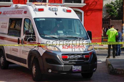 Ultiman a vendedor de pollos en Apetatitlán imagen 1