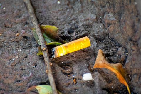 Día Mundial sin Tabaco: Informar y concienciar sobre sus riesgos imagen 1