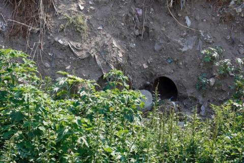 Contaminación y drenaje en lo que se convirtió la Barranca Briones de Chiautempan imagen 1