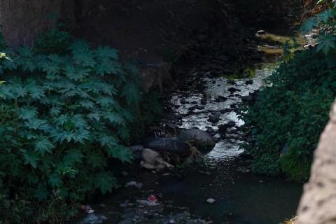 Contaminación y drenaje en lo que se convirtió la Barranca Briones de Chiautempan imagen 12