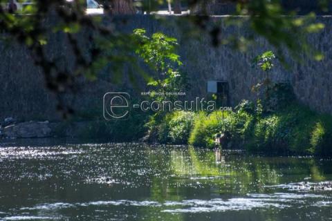 Continúa contaminación en la Cuenca del Río Zahuapan pese a diversas acciones de gobierno del estado por preservarlo imagen 4