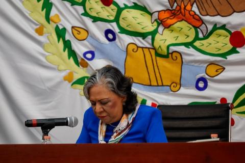 Crean comisión encargada de entregar premio Miguel N. Lira. imagen 3