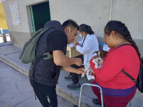 Se mantiene Tlaxcala como área geográfica libre de transmisión de rabia en animales y humanos imagen 3