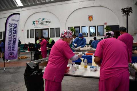 Encabeza Lorena Cuéllar inicio de jornada nacional de salud 2024 en Atltzayanca imagen 8