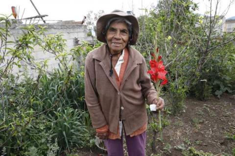 Mujeres Centenarias De Tlaxcala: El legado vivo de Reynalda y Gorgonia imagen 1