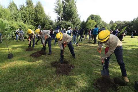 Jóvenes encabezan jornada de reforestación en Tlaxcala imagen 3