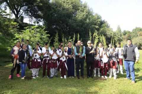 Jóvenes encabezan jornada de reforestación en Tlaxcala imagen 1