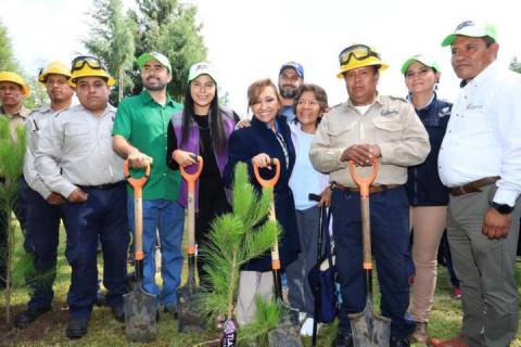 Jóvenes encabezan jornada de reforestación en Tlaxcala imagen 7