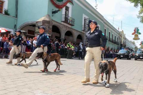Encabeza Gobernadora Desfile Cívico Militar de la Independencia De México imagen 14