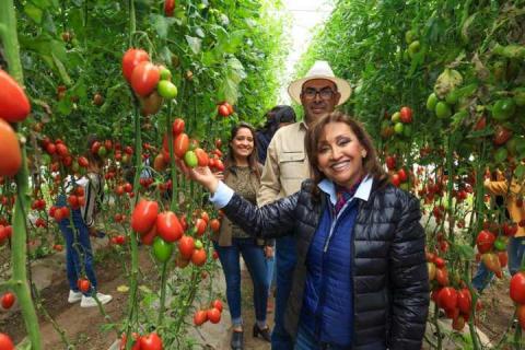 El campo vive su mejor momento: Gobernadora; entrega apoyos a productores imagen 2