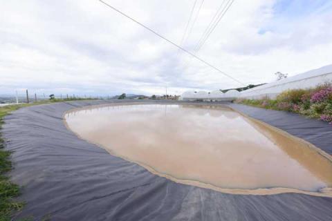 El campo vive su mejor momento: Gobernadora; entrega apoyos a productores imagen 14