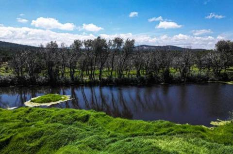 Encabeza Gobernadora trabajos de restauración del área natural protegida “Los Pitzocales” en Tetla imagen 1
