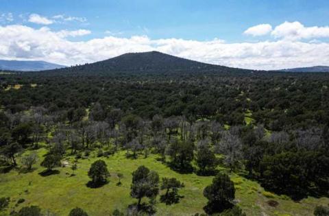 Encabeza Gobernadora trabajos de restauración del área natural protegida “Los Pitzocales” en Tetla imagen 3