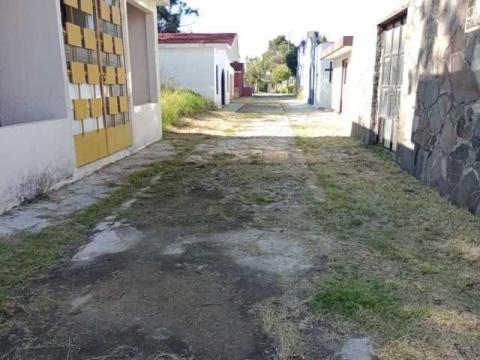 Realizan trabajos de limpieza y mantenimiento a panteón municipal de Chiautempan imagen 6