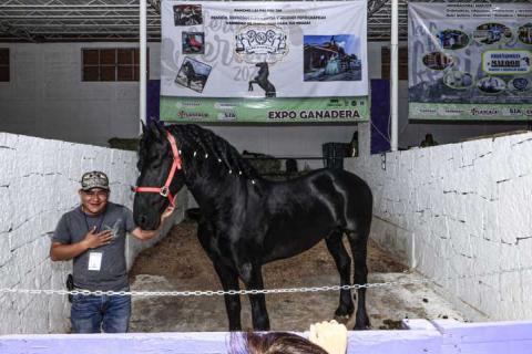 Tlaxcala abre sus puertas al mundo con la Feria de Ferias imagen 28