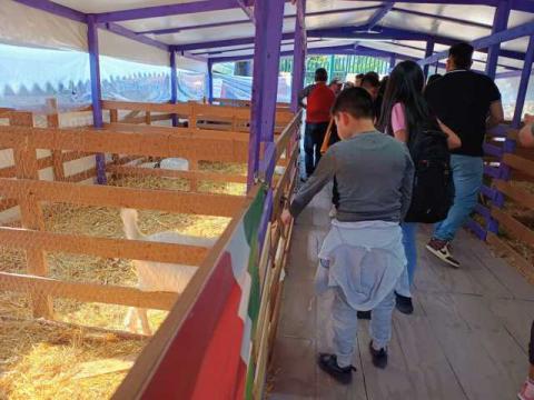 Disfruta en familia de actividades infantiles en "Tlaxcala, La Feria De Ferias 2024 imagen 12