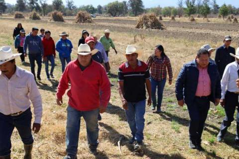 El apoyo al campo también es prioridad: Alcalde de Tepetitla imagen 2