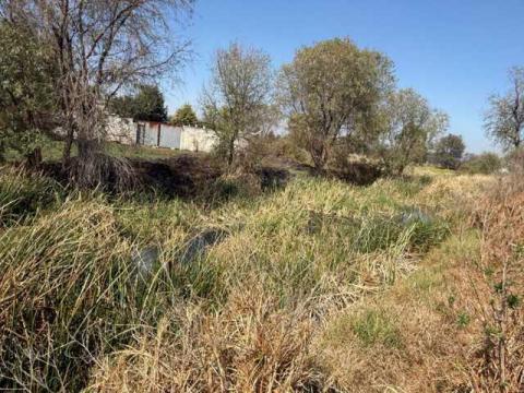 Ayuntamiento de Ixtacuixtla lleva a cabo importante recorrido para el reconocimiento de afluentes contaminados hacia el río Atoyac imagen 3